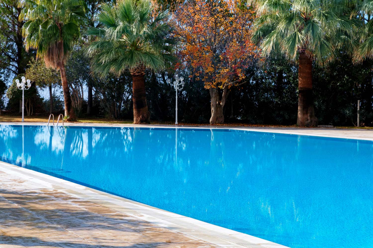 Accesorios para piscina: los imprescindibles para disfrutar al máximo del agua